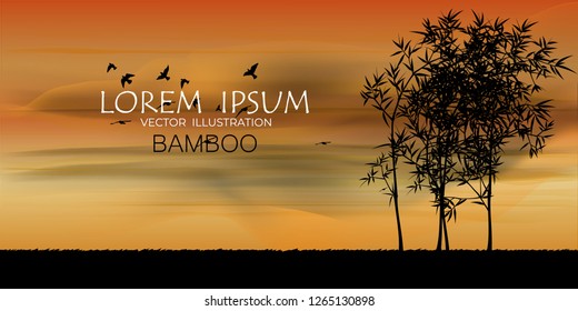 Vector illustration of bamboo on background, design of Chinese and Japanese bamboo trees, stems and leaves. colorful trees background