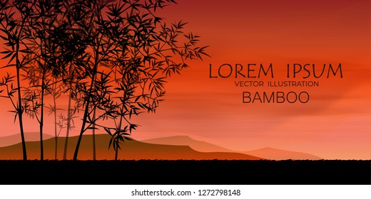 Vector illustration of bamboo on background, design of Chinese and Japanese bamboo trees, stems and leaves. 