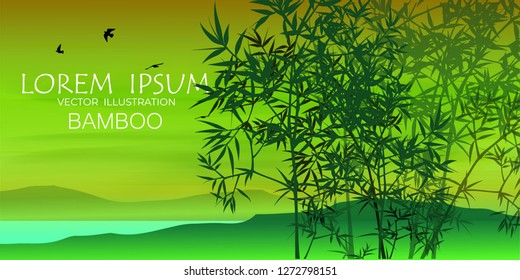 Vector illustration of bamboo on background, design of Chinese and Japanese bamboo trees, stems and leaves. 