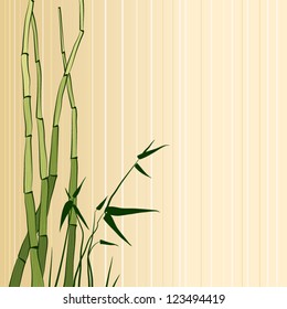 Vector illustration of bamboo on beige background.