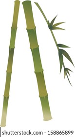 Vector illustration of bamboo poles