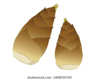 Vector illustration of bamboo shoots