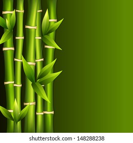 Vector illustration bamboo shoots on a green background