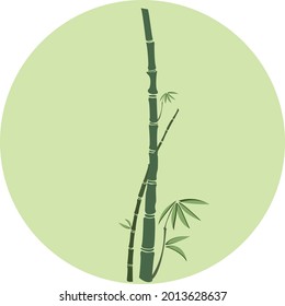 Vector illustration of bamboo with solid background.
