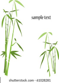 vector illustration of bamboo trees