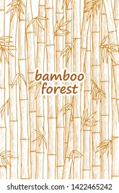 Vector illustration of bamboo trees. Vintage style.