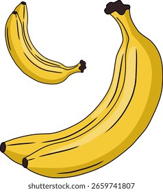 Ilustración vectorial de un plátano
