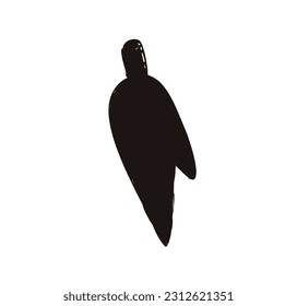 Vector illustration, banana blossom, isolated on white background.