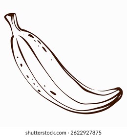 Vector illustration of a banana, designed in line art style. Ideal for food-related projects, packaging, or logos. Represents healthy, organic, and vegan ingredients.