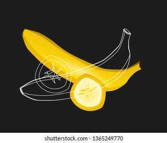 Vector illustration of a banana fruit. Banana vector icon. 