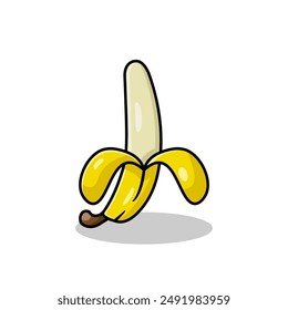 vector illustration of banana fruit on white isolated background