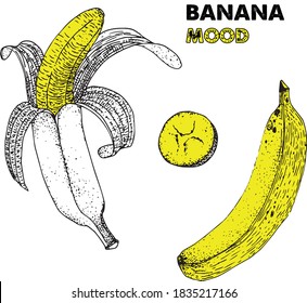 Ilustración vectorial. Banana. Fruta. Amarillo.