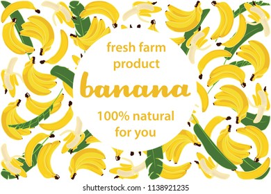 vector illustration of banana and leaf design with lettering banana background white and fruit and text fresh farm product 100% natural for you EPS10