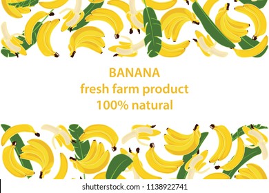 vector illustration of banana and leaf design background white and fruit and text fresh farm product 100% natural EPS10