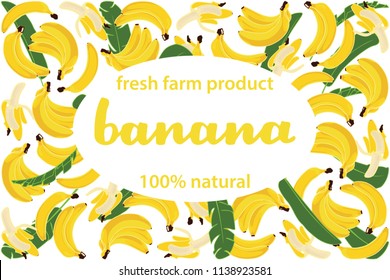 vector illustration of banana and leaf design with lettering banana background white and fruit and text fresh farm product 100% natural EPS10