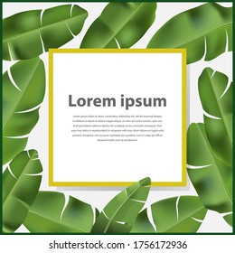 ilustración vectorial, hoja de plátano como marco o borde