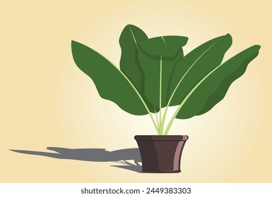 Vector illustration of a banana leaf plant in a pot for indoor decoration. The shadow, main object, and background are on different layers.