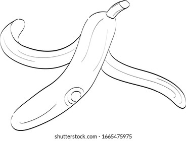 Vector illustration of banana line drawing. Organic waste. 