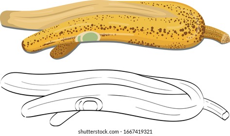 Vector illustration of banana peel pattern. Ripe banana peel