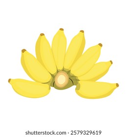 Vector illustration of banana set. Yellow exotic fruit, bunch of agrigulture product, slide cut banana and green leaves