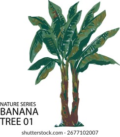 Ilustración vectorial del árbol de plátano 01 