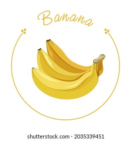 Vector illustration of bananas for decorative poster, natural product emblem, farmers market.