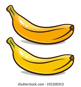 Vector illustration of bananas isolated on a white background