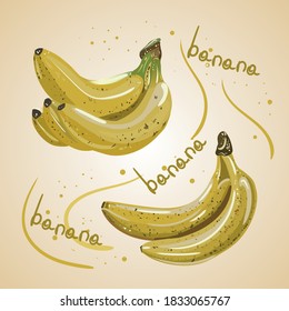 vector illustration of bananas. isolated yellow fruit. picturesque and delicious objects for design.
