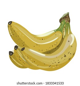 ilustración vectorial de los plátanos. fruta amarilla aislada. objetos pintorescos y deliciosos para el diseño.
