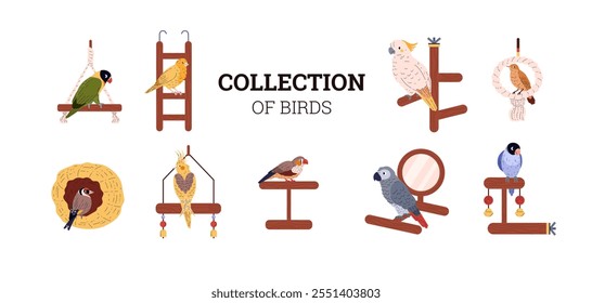 Vector illustration of a banner with a collection of domestic birds with cage accessories. Different types of parrots, goldfinch, conary, and others in a flat style. Isolated background.