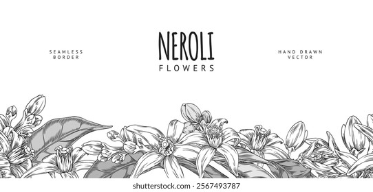 Vector illustration of banner featuring seamless lower border of black and white sketch of neroli flowers and leaves. Botanical pattern poster for seasonal natural and organic products advertisement.