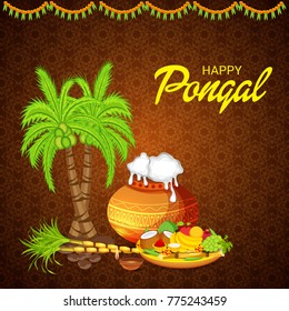 Vector illustration of a Banner for Pongal Celebration.