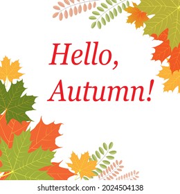 Vector illustration of a banner or postcard. Hello, Autumn. Autumn leaves on a white background.