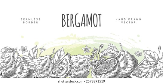 Vector illustration of banner with Seamless border of bergamot fruit with leaves and flowers in black and white engraved style. Citrus sour fruit. Hand drawn. Advertising poster. Mekto for text.