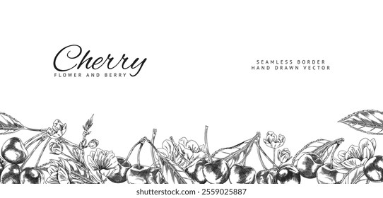 Vector illustration of a banner with a seamless bottom border with the image of cherry fruits and flowers in sketch style. Monochrome poster mockup for summer and organic food. Hand drawn.