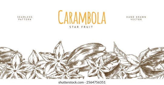 Vector illustration of banner with seamless bottom edge featuring monochrome carambola fruit pattern with leaves. Suitable for healthy food advertising poster. Exotic fruit.