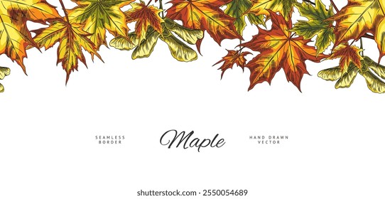 Vector Illustration of a banner with seamless colorful autumn maple leaves on the top border. Yellow, green leaves with seeds, hand drawn, perfect for cards or invitations with space for text. Flora.