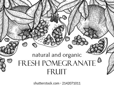Vector illustration banner template in engraving style. Graphic linear pomegranate fruits and leaves