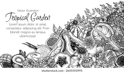 Vector illustration banner template with fruits. Whole fruits, slices, halves. Brochure for grocery store. Healthy eating. Raw food. Tropical botany