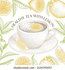 Vector illustration banner template with graphic linear tea with lemon in a cup in engraving style
