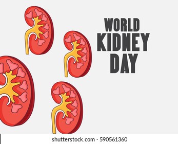 Vector illustration of a Banner For World Kidney Day.
