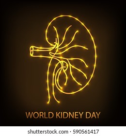 Vector illustration of a Banner For World Kidney Day.