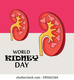 Vector illustration of a Banner For World Kidney Day.