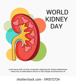 Vector illustration of a Banner For World Kidney Day.