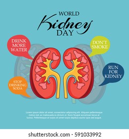 Vector illustration of a Banner For World Kidney Day.