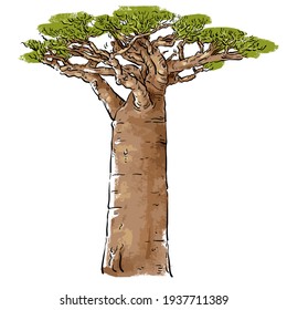Vector illustration with a baobab tree on a white background
