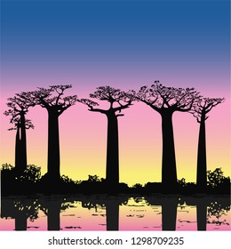 Vector illustration of a baobab tree silhouette at sunset
