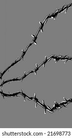 vector illustration of the barbed wire on gray background