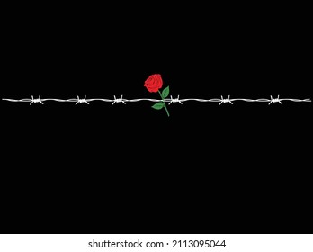 vector illustration with barbed wire and rose in red, black and white colors. Stop war and human rights day concept