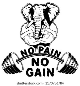 Vector illustration barbell and strong elephant. "No pain - no gain" inspirational lettering.